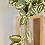 Topel Dom V Centru Mesta 5 Apartmán Maribor