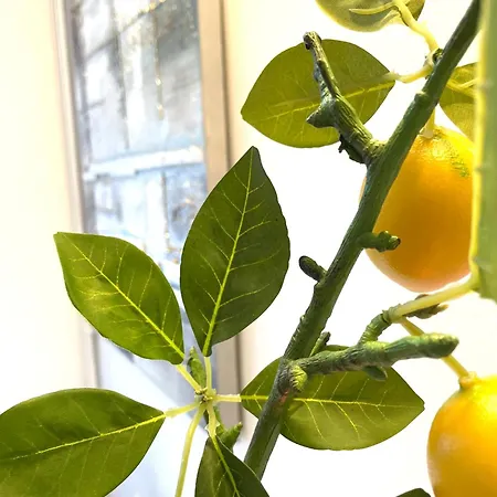 Topel Dom V Centru Mesta 5