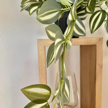 Topel Dom V Centru Mesta 5 شقة ماريبور