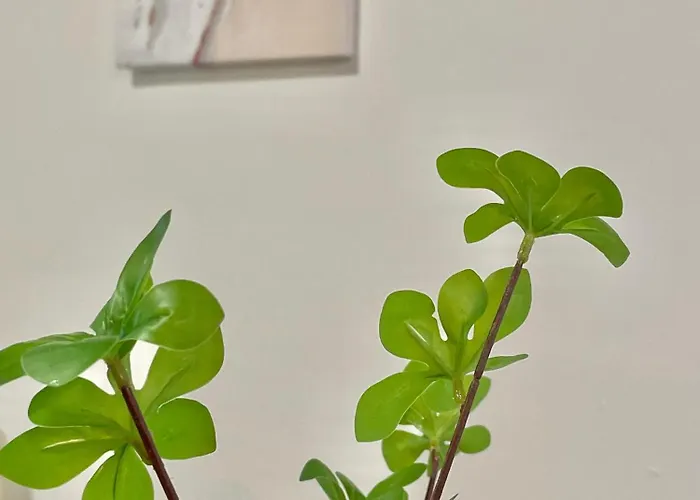 Topel Dom V Centru Mesta 5