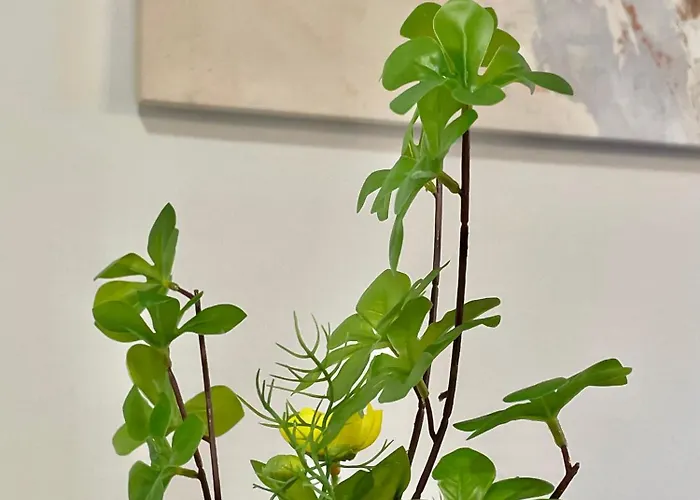 Topel Dom V Centru Mesta 5