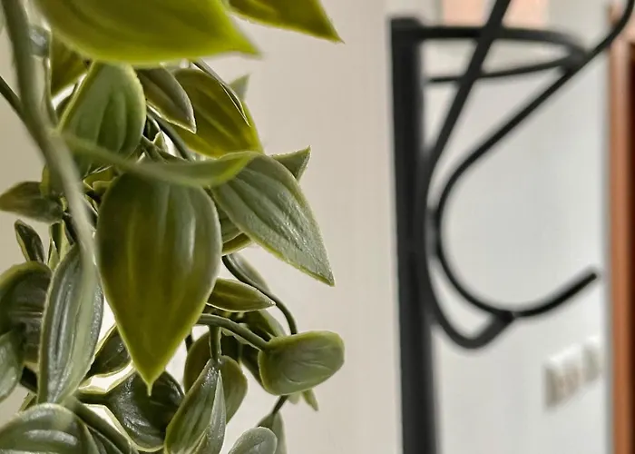 Topel Dom V Centru Mesta 5 Apartma