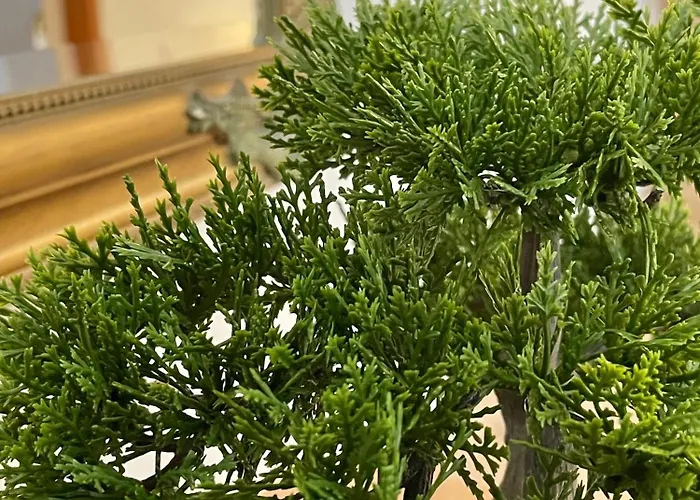 Topel Dom V Centru Mesta 5 *